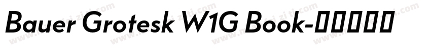 Bauer Grotesk W1G Book字体转换